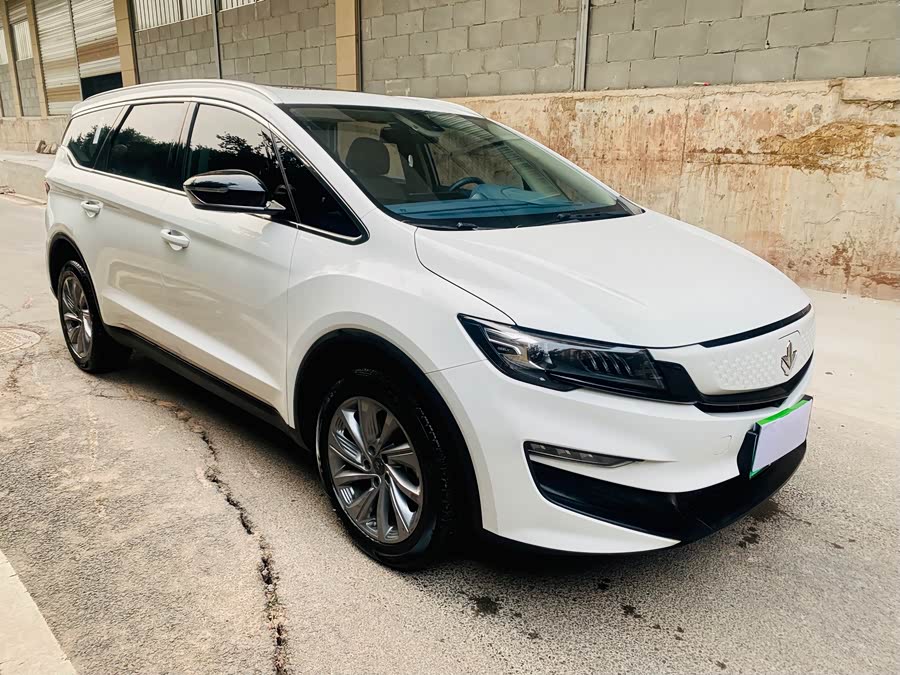 睿蓝汽车 枫叶80v PRO 2023 汽车图片 #4