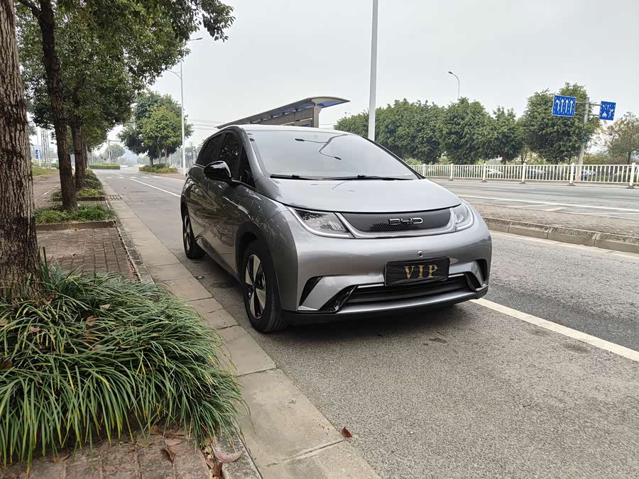 BYD Dolphin 2023 imagem de carro #4