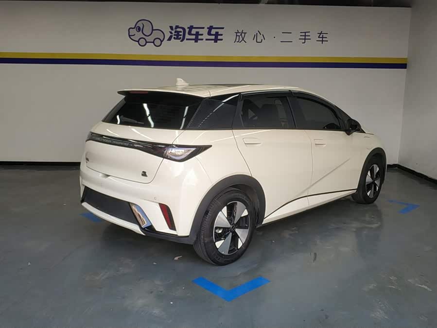 BYD Dolphin 2024 imagem de carro #4