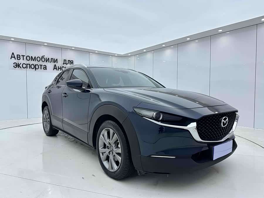 Mazda CX-30 2021 car image #4