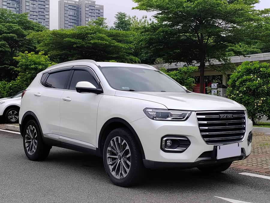 Haval H6 2019 car image #4