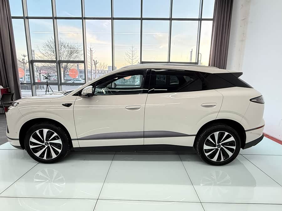 BYD Sea Lion 06 New Energy 2025 car image #4