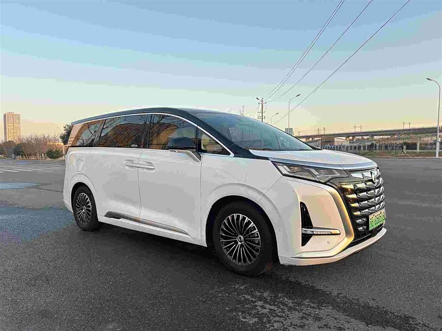 Denza D9 2023 immagine di auto #4