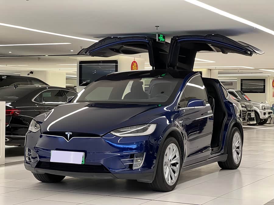 Tesla Model X 2017 car image #4