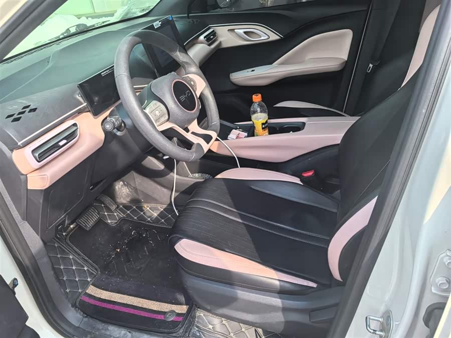 BYD Seagull 2025 car image #4