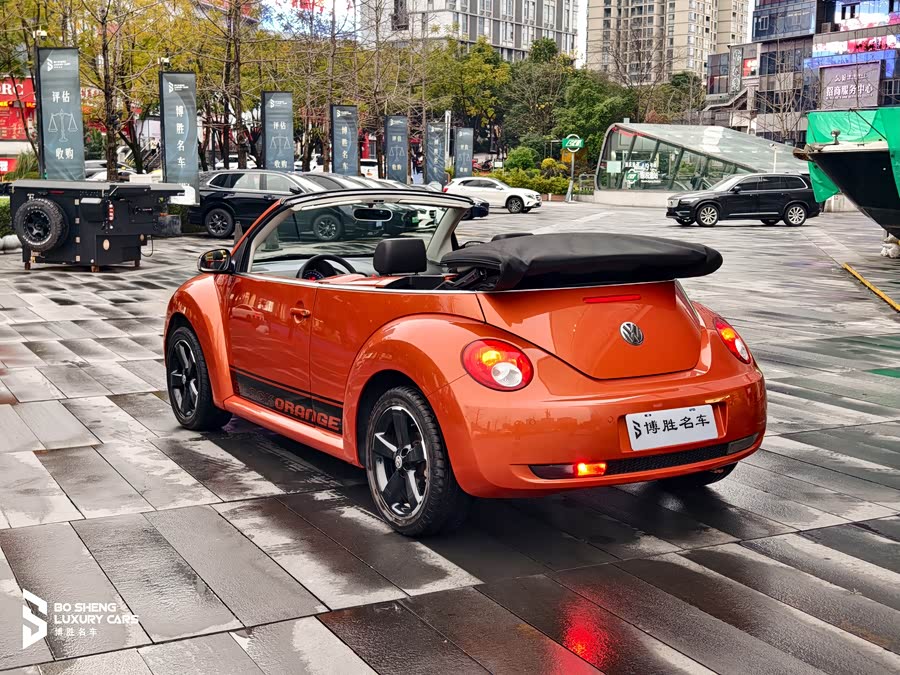 Volkswagen Beetle 2010 immagine di auto #4