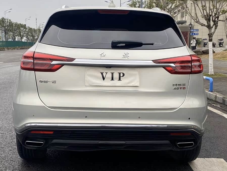 HongQi HS5 2020 immagine di auto #4