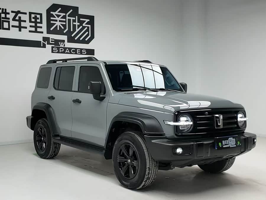 Tank 300 2025 #4 Tank 300 2025 car image #4