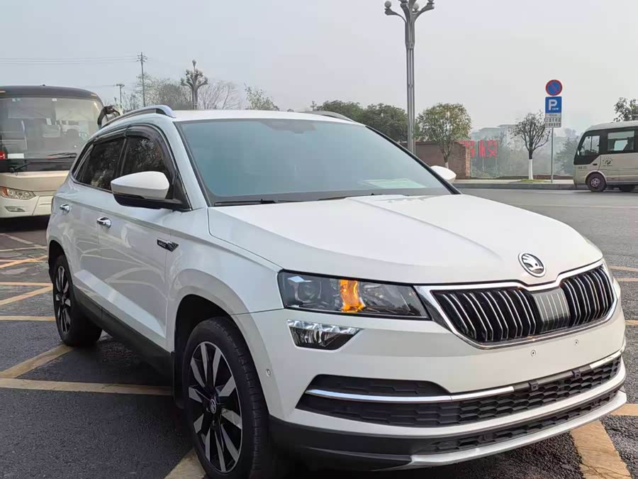 Skoda Karoq 2021 car image #4