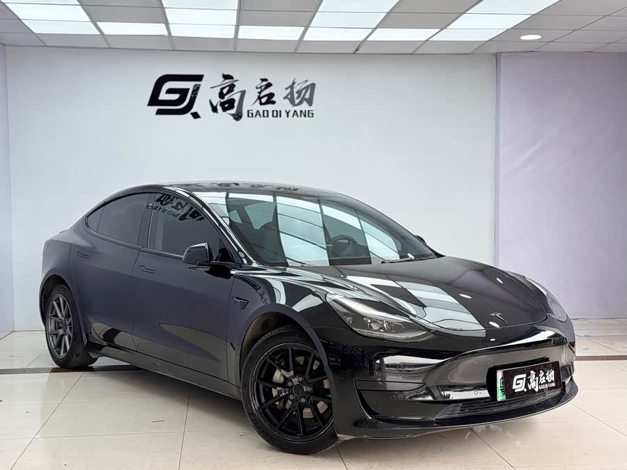 Tesla Model 3 2021 #4 Tesla Model 3 2021 car image #4