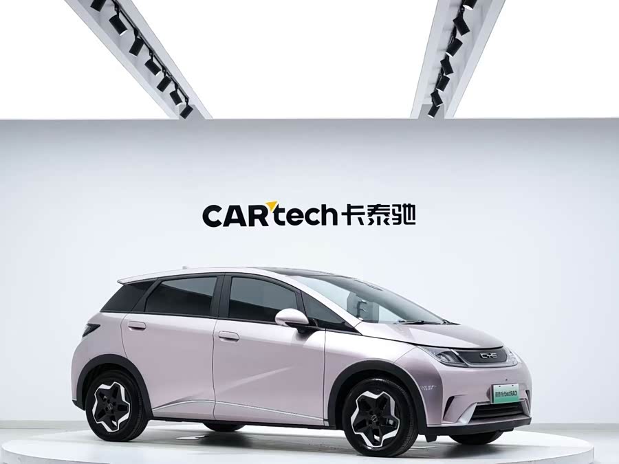 BYD Dolphin 2023 immagine di auto #4