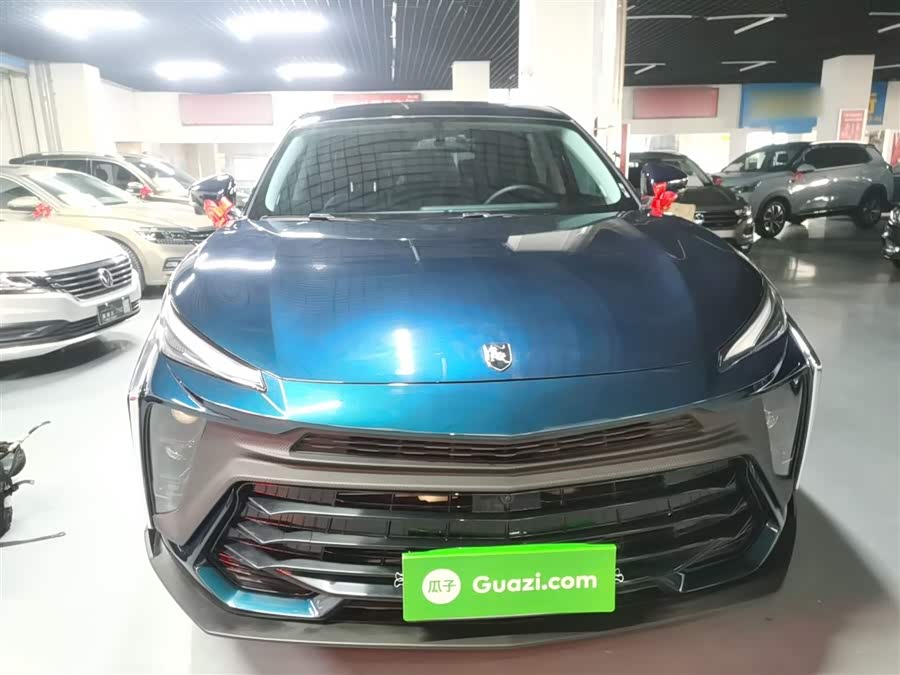 Forthing T5 EVO 2024 car image #4