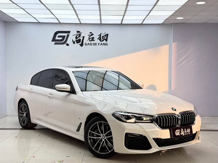 BMW 5 Series (Imported) 2021 car image #4