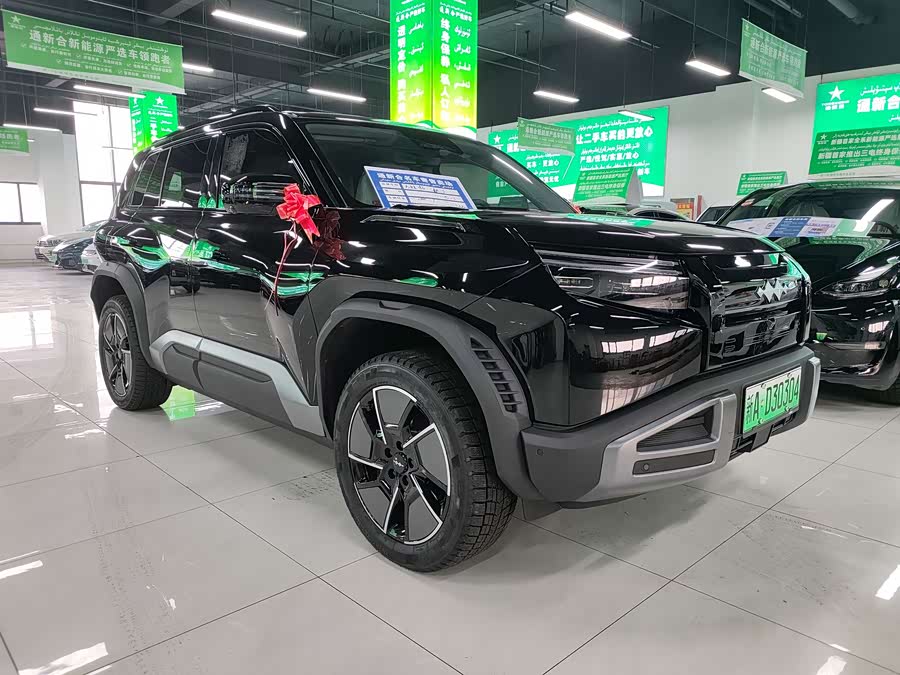 FangChengBao Tiger 3 2025 car image #4