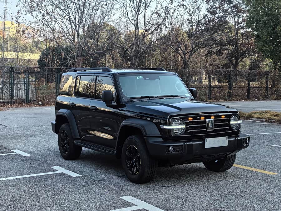 Tank 300 2023 #4 Tank 300 2023 car image #4