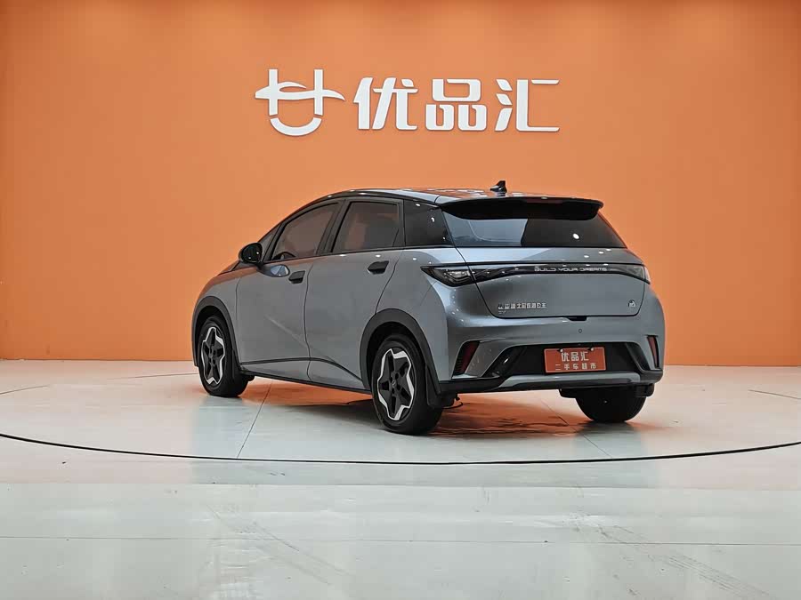 BYD Dolphin 2022 car image #4