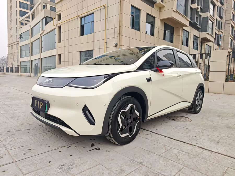 BYD Dolphin 2025 car image #4