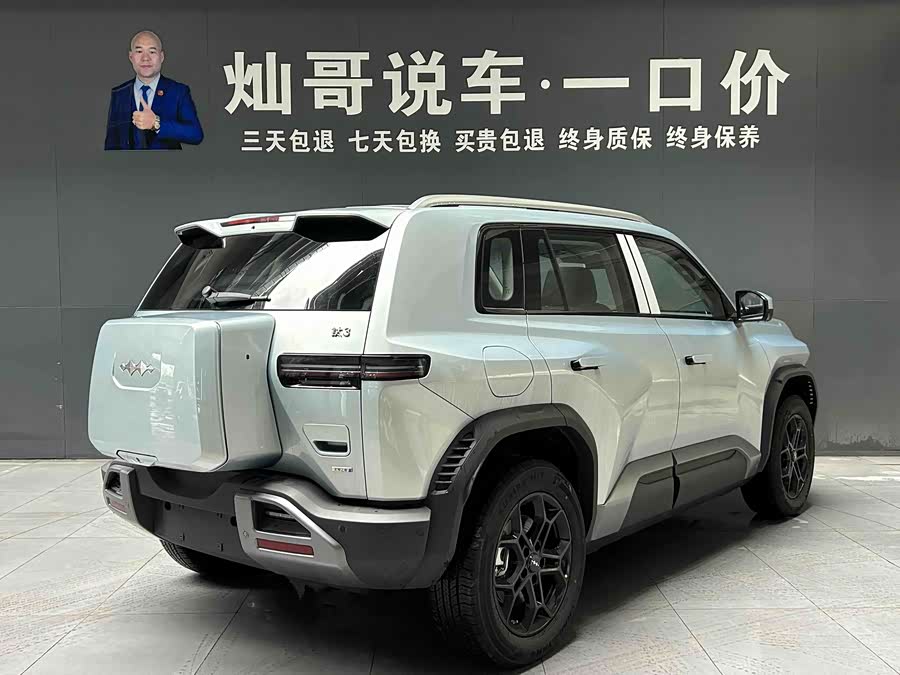 FangChengBao Tiger 3 2025 car image #4