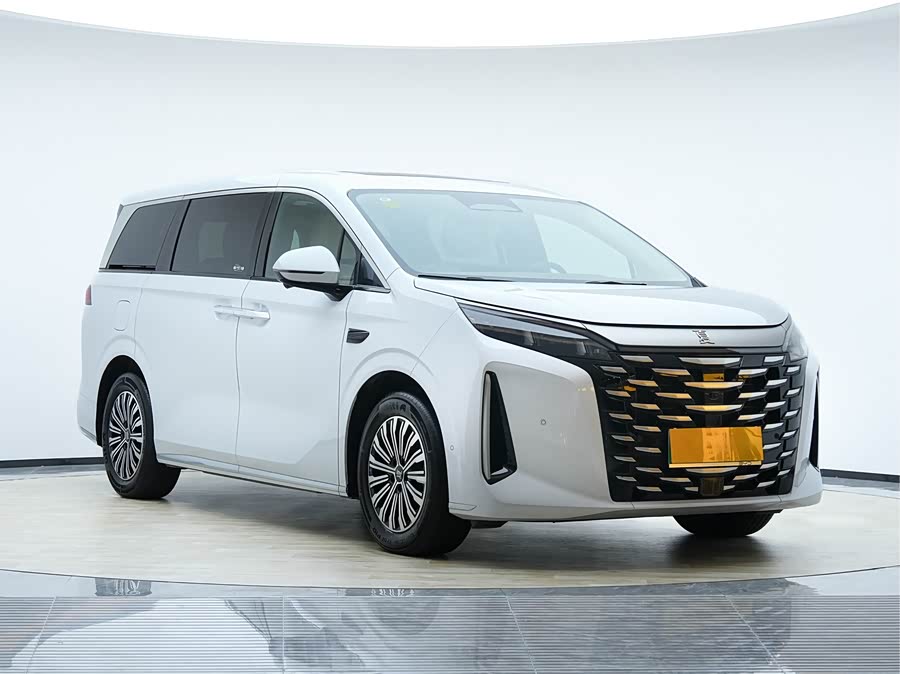 BYD Xia 2025 imagen de coche #4