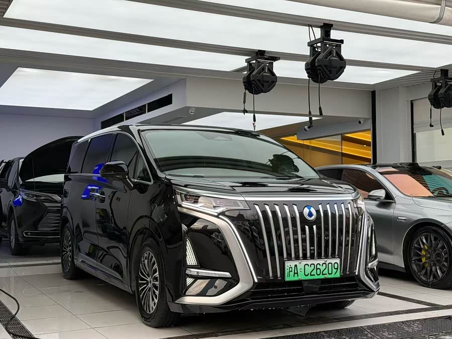 Denza D9 2023 car image #4