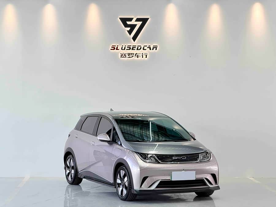 BYD Dolphin 2022 #4 BYD Dolphin 2022 car image #4