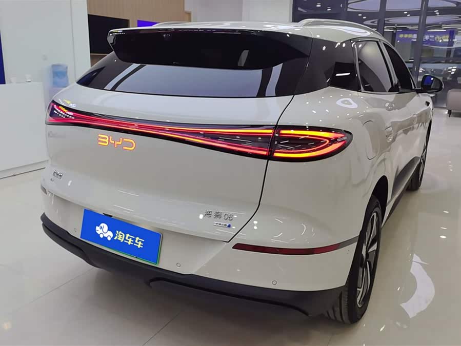BYD Sea Lion 06 New Energy 2025 car image #4