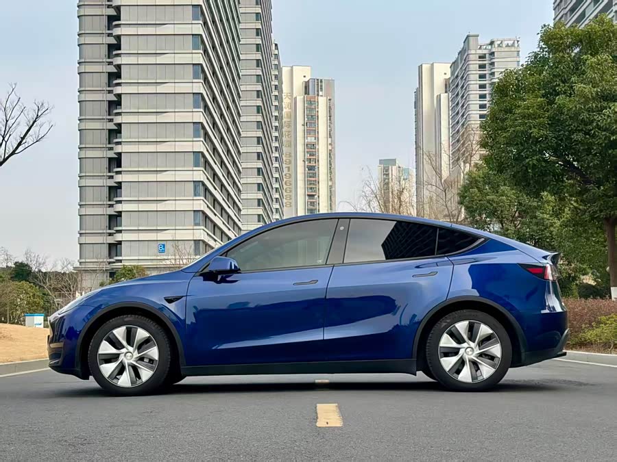 Tesla Model Y 2021 car image #4