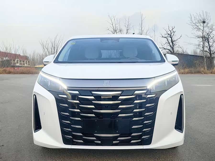 BYD Xia 2025 imagen de coche #4