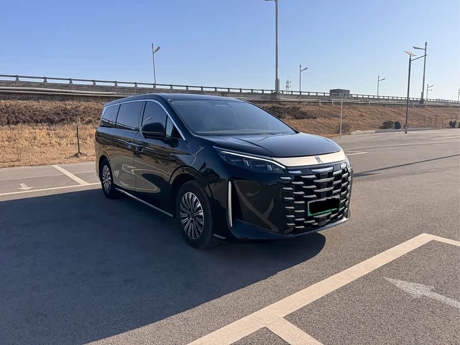 BYD Xia 2024 imagen de coche #4