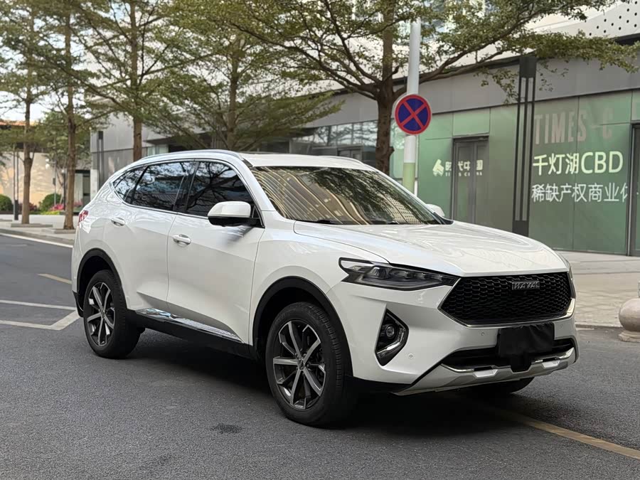 Haval 2018 car image #4