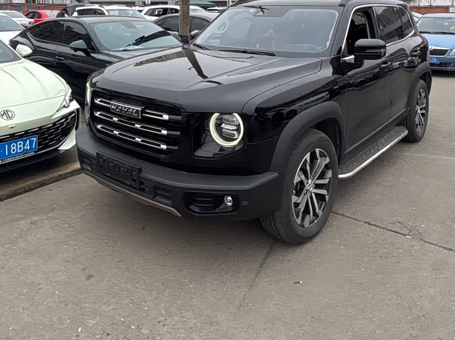 Haval X Dog / Dargo 2020 #4 Haval X Dog / Dargo 2020 car image #4