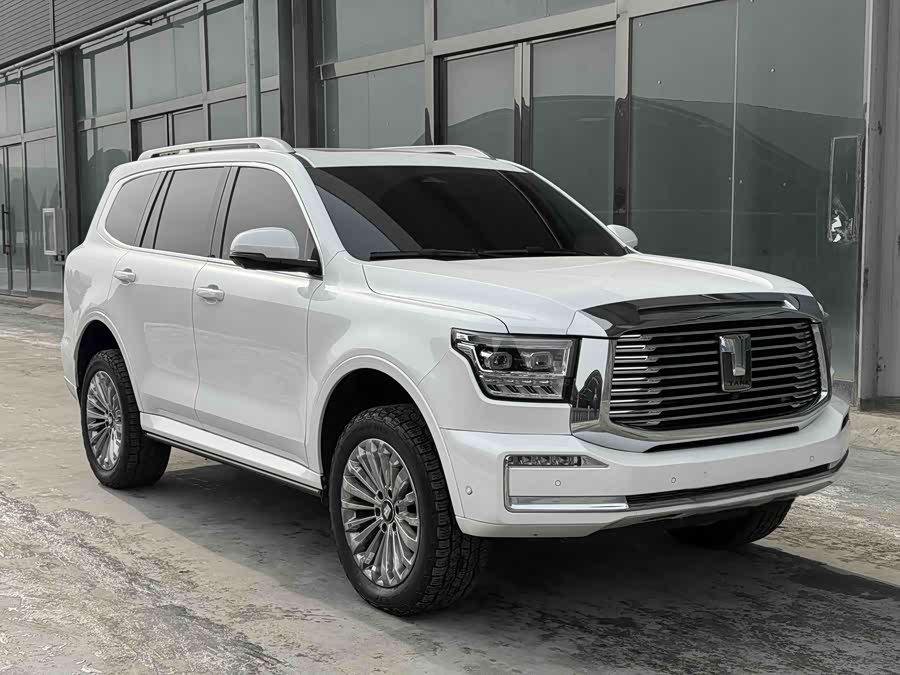 坦克 坦克500 2022 汽车图片 #4