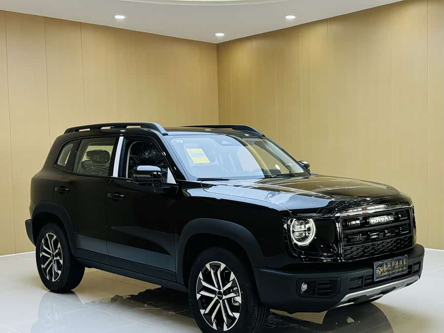 Haval X Dog / Dargo 2025 #4 Haval X Dog / Dargo 2025 immagine di auto #4