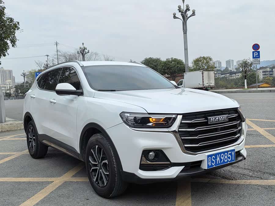 Haval H6 2023 car image #4