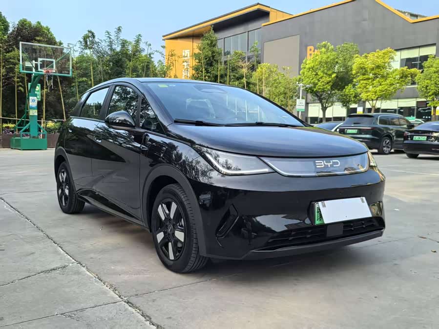 BYD Dolphin 2025 car image #4