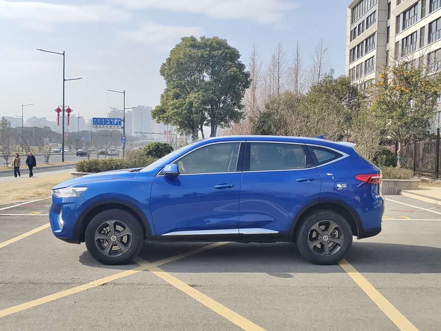 Haval 2019 car image #4