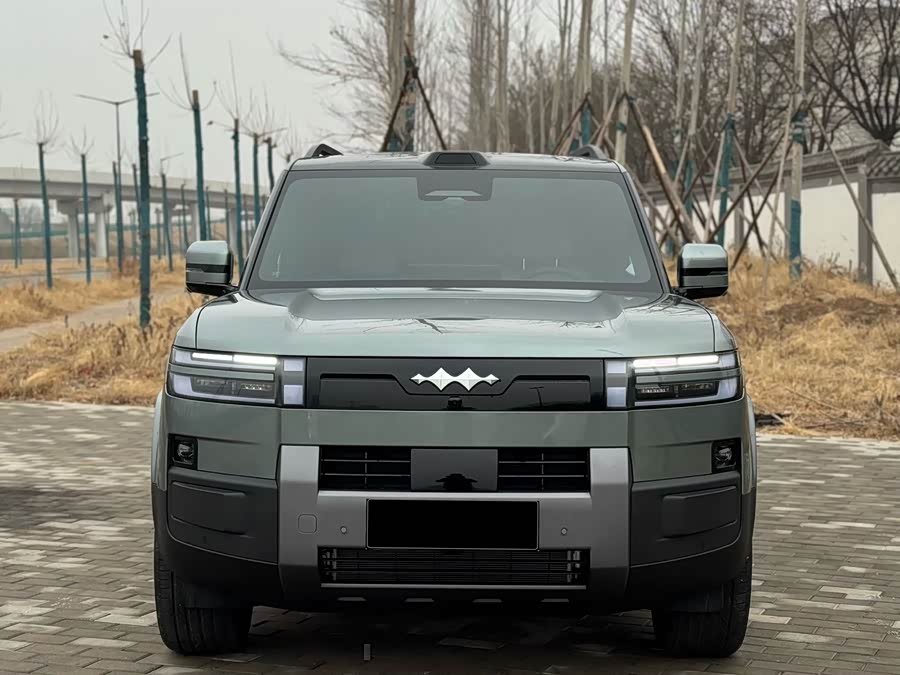 FangChengBao Tiger 7 2025 car image #4