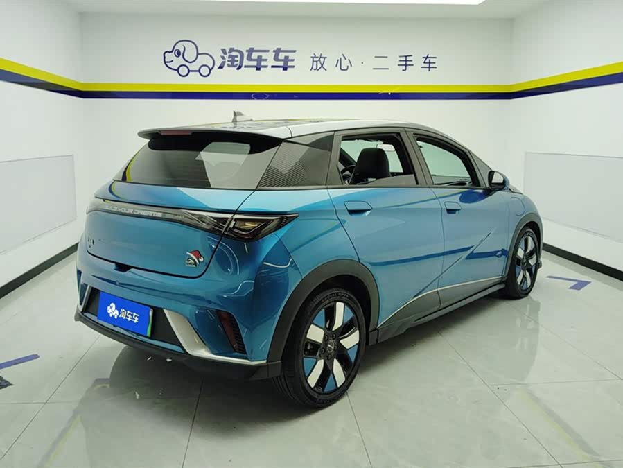 BYD Dolphin 2022 car image #4