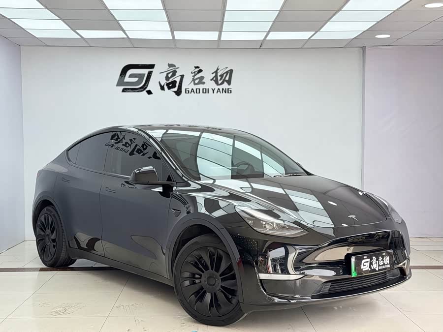 Tesla Model Y 2021 car image #4