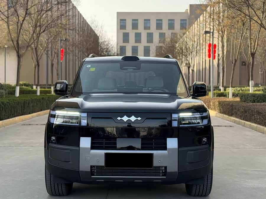 FangChengBao Tiger 7 2025 car image #4