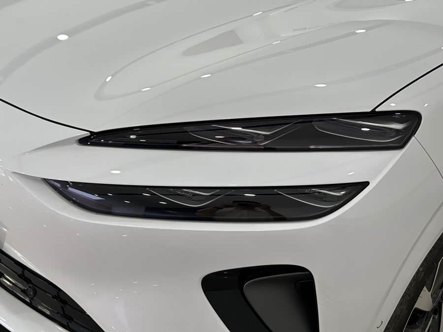 BYD Sea Lion 06 New Energy 2025 car image #4