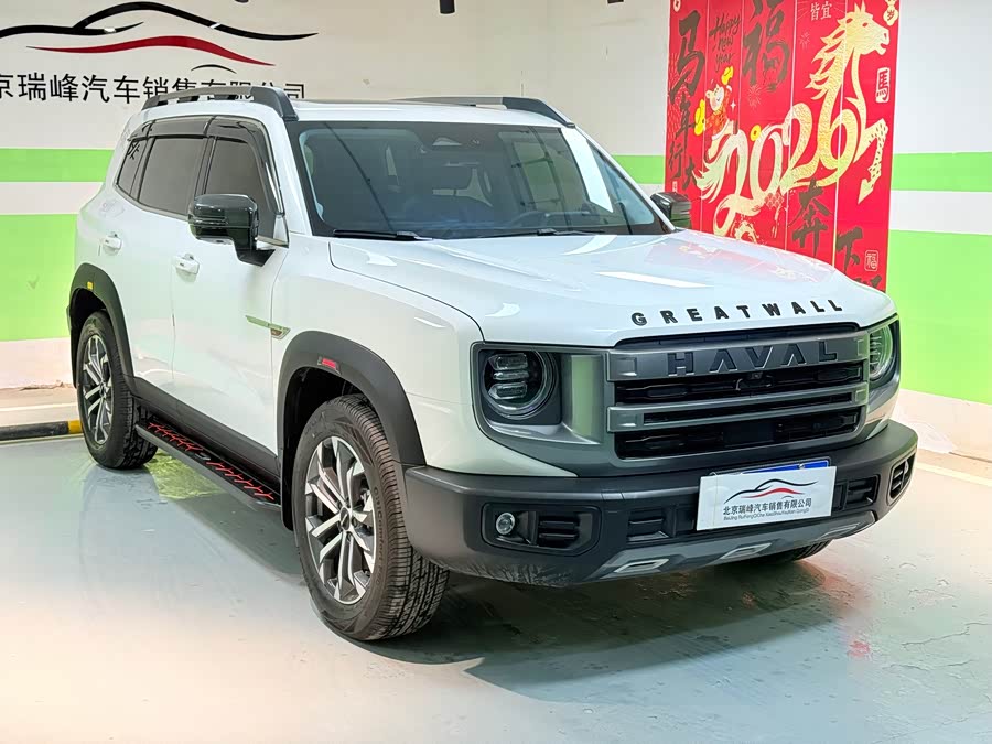 Haval X Dog / Dargo 2024 immagine di auto #4