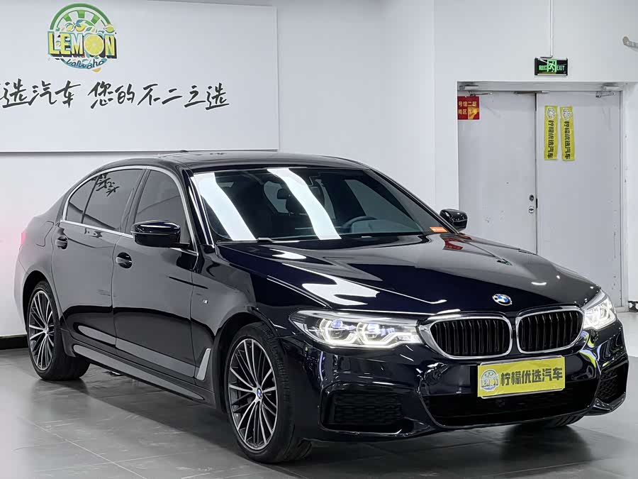 BMW 5 Series 2020 car image #4