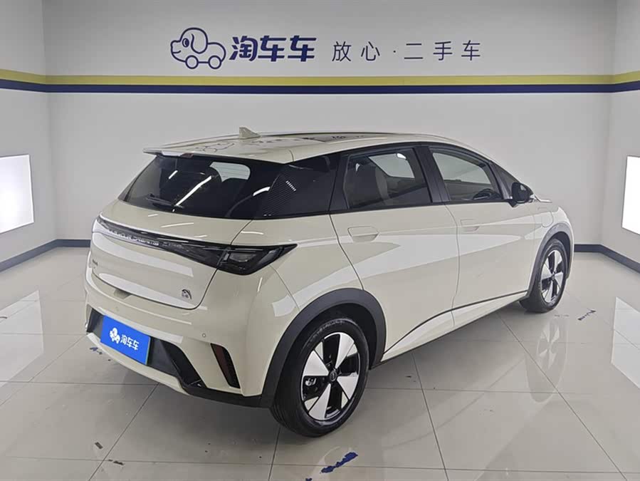 BYD Dolphin 2024 imagem de carro #4