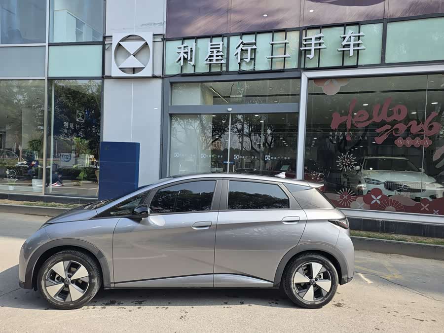 BYD Dolphin 2023 car image #4