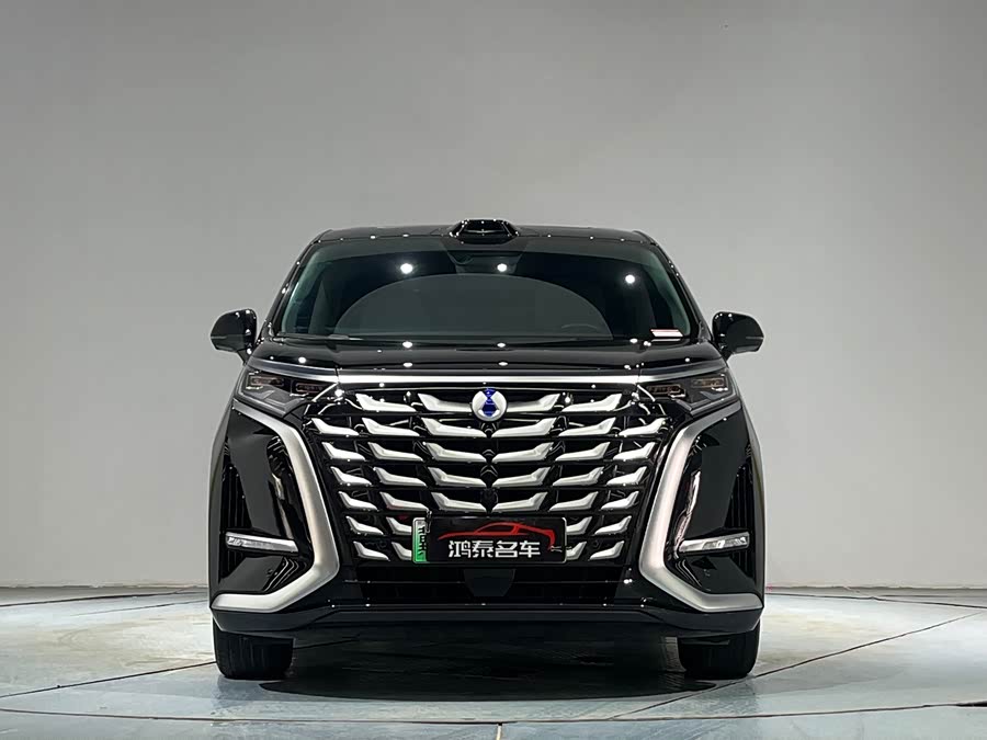 Denza D9 2025 imagen de coche #4