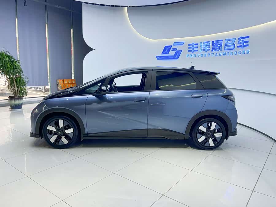 BYD Dolphin 2023 #4 BYD Dolphin 2023 car image #4