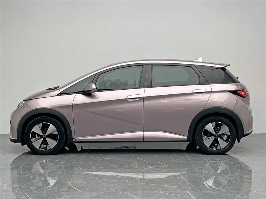 BYD Dolphin 2023 immagine di auto #4