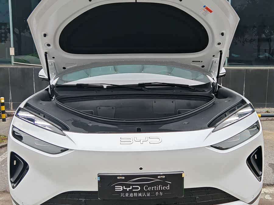 BYD Sea Lion 06 New Energy 2025 car image #4