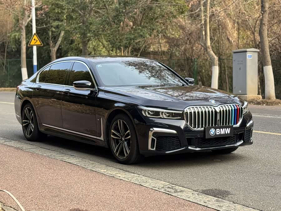 BMW 7 Series 2019 car image #4